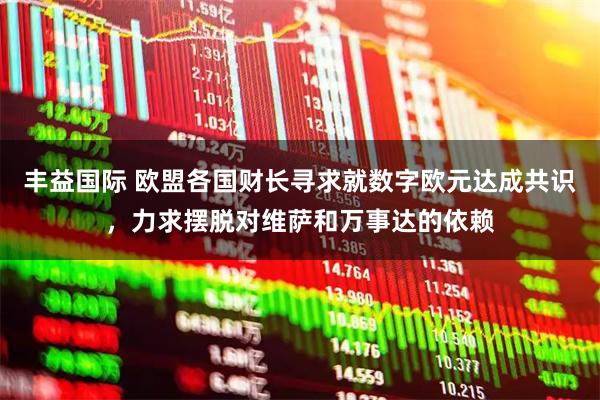 丰益国际 欧盟各国财长寻求就数字欧元达成共识，力求摆脱对维萨和万事达的依赖
