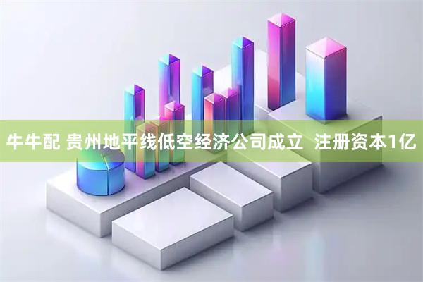 牛牛配 贵州地平线低空经济公司成立  注册资本1亿