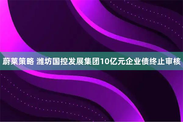 蔚莱策略 潍坊国控发展集团10亿元企业债终止审核