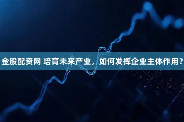 金股配资网 培育未来产业，如何发挥企业主体作用？
